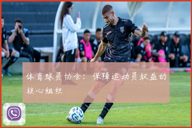 体育球员协会:保障运动员权益的核心组织
