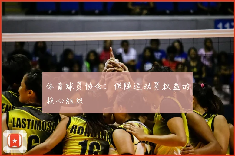体育球员协会：保障运动员权益的核心组织
