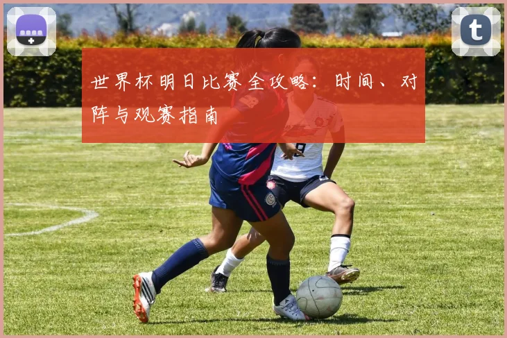 世界杯明日比赛全攻略：时间、对阵与观赛指南